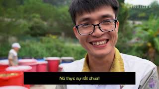 Proceso de fermentación de enzimas de piña